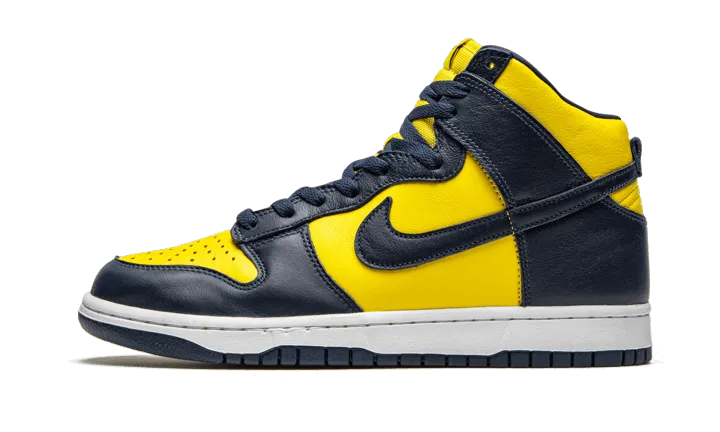 Nike Dunk High Michigan (2020)