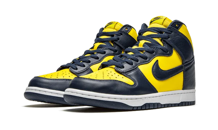 Nike Dunk High Michigan (2020)